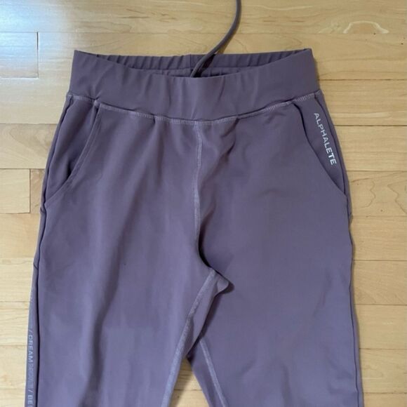 Alphalete Premium Pro Elite Jogger in Purple Dove S - Picture 5 of 12